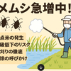 富山で平年の6倍のカメムシ急増中！米に影響懸念