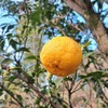 お地蔵様の前掛け（エプロン）をご寄贈いただきました
