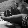 『囚人が囚人のために』フィレモンへの手紙1〜7