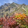 【五竜岳③】後立山のど真ん中（五竜山荘→アルプス平）