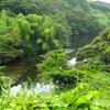 唐木ヶ谷池（静岡県御前崎）