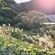 ～セイタカの草草は闇にしずめ置きすすき野原に午後の日のどか