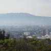 三豊平野(10首歌)
