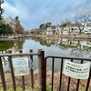 白幡池（神奈川県横浜）