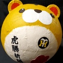 天見早希@タイガースと私と野球と人生と