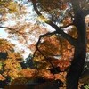 紅葉の鎌倉―瑞泉寺