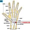   【基礎から学ぶ】手指の疾患【整形外科学】