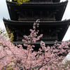 京都に行ったら東寺に行こう。日本に唯一残る平安京の遺構、1200年前の世界遺産。