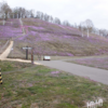 東藻琴芝桜公園