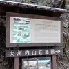 京都嵯峨野　５