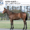 G1サラブレッドクラブ入会（40口へ挑戦）