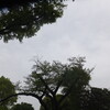 土2025・１／マザーネイチャー・96