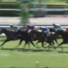 ７月６日（日）　勝負・注目レース結果　ー馬連3,600円的中！