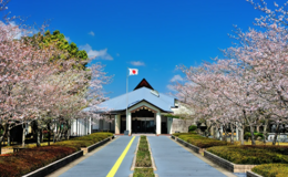 記事を見る