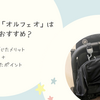 サイベックス「オルフェオ」は本当におすすめ？使って感じたメリット・後悔したポイント【口コミ・レビュー】