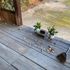 「水道や手水がないので水の支度がすごく面倒」 諏訪神社の清掃活動 2024年12月26日