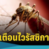 タイで「ジカウイルス」の感染が拡大しているようです