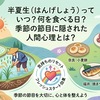 半夏生（はんげしょう）とは？なぜタコを食べるの？季節の節目と食文化・人間心理を解説