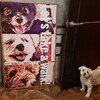 世界で一つだけの愛犬ポスター