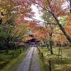 秋の京都観光！御朱印集め🍁紅葉狩り『一休寺』とコストコお買い物