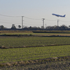 田畑のある空港～佐賀空港～