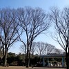 神代植物公園