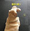 待つベリル