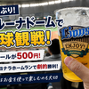 10年ぶりのベルーナドーム⚾たまにはお金を使って楽しむのも大切