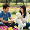 【犬好き婚活】トイプードルが大好きな男性・女性って？