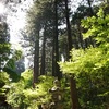 ５月４日の御岩神社