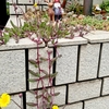 師走…落ち着いて…