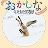 『おかしな生きもの写真館』は見るものをクスッと笑わせてくれる癒しの本・・・かも！？