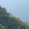 【登山】北岳⑦ 日本2位の最高峰　ニホンザル編