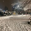 乾いた都会に降る初雪はひとりの寂しさ隠す白