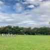 秋の中原ふれあい防災公園で散歩を楽しんできました♪