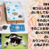 占い