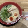 ラーメンまこと屋、創業祭の半額券、期限は12月20日まで！使い忘れないように注意！全部のせ牛じゃんラーメン！