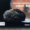 EXPO2025ⅩⅣ（9/21）日本館Ⅲ・アオと夜の虹のパレードⅡ