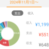 2024年11月分の家計簿公開！！