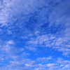 うろこ雲と青空