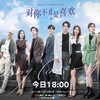 『對你不止是喜歡』英語：《I May Love You》全24話