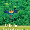 地球の“生命の宝庫”をのぞく！やさしい英語で学ぶ熱帯雨林の世界　ORDシリーズLevel 3『Life in Rainforests』のご紹介