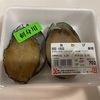 【高級食材が激安】角上魚類であわび買ってみました