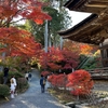 錦秋の近江紅葉巡り