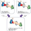 授業において最も大切なもの　～Level１：生徒との関係を構築するＮＬＰ～【第２章】【01節】