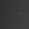 ラヴジョイ彗星見ました