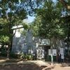 11月4日～11月10日(戸越公園、高井戸・西荻窪、同窓会）