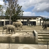 京都動物園