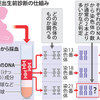 2018.6.19　出生前診断