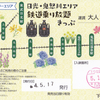 東武鉄道　　「日光・鬼怒川エリア　鉄道乗り放題きっぷ」　７